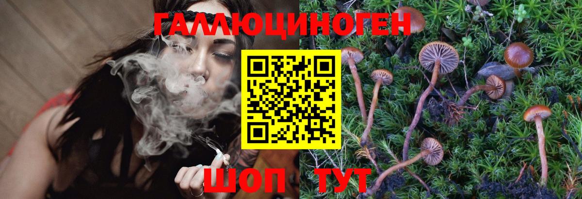 Галлюциногенные грибы Psilocybine cubensis  Вход с VPN  Нефтекамск 